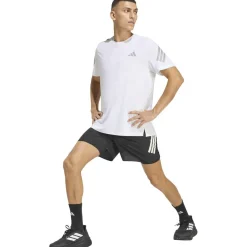adi365 Formotion 2in1 Herren Shorts