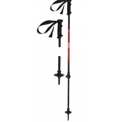 Alpine Pro Vario Unisex Alpin-Skistöcke