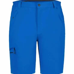 Berwyn Herren Shorts