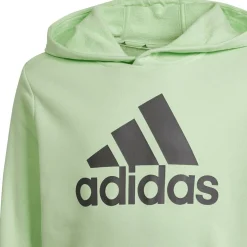 Big Logo Essentials Cotton Hoodie Kinder Kapuzensweater