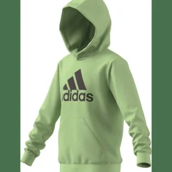 Big Logo Essentials Cotton Hoodie Kinder Kapuzensweater