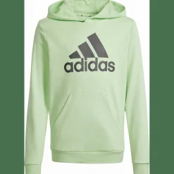 Big Logo Essentials Cotton Hoodie Kinder Kapuzensweater