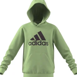 Big Logo Essentials Cotton Hoodie Kinder Kapuzensweater