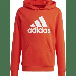 Big Logo Essentials Cotton Hoodie Kinder Kapuzensweater