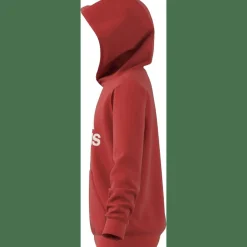 Big Logo Essentials Cotton Hoodie Kinder Kapuzensweater