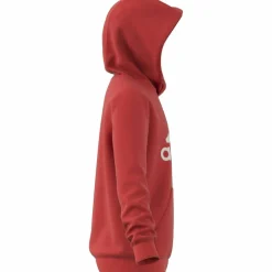 Big Logo Essentials Cotton Hoodie Kinder Kapuzensweater