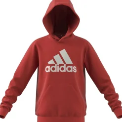 Big Logo Essentials Cotton Hoodie Kinder Kapuzensweater