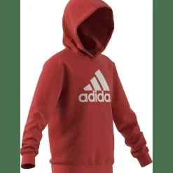 Big Logo Essentials Cotton Hoodie Kinder Kapuzensweater