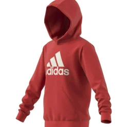 Big Logo Essentials Cotton Hoodie Kinder Kapuzensweater