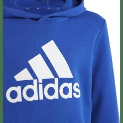 Big Logo Essentials Cotton Hoodie Kinder Kapuzensweater