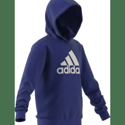 Big Logo Essentials Cotton Hoodie Kinder Kapuzensweater