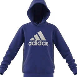 Big Logo Essentials Cotton Hoodie Kinder Kapuzensweater