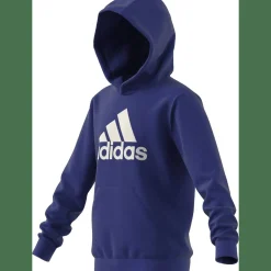 Big Logo Essentials Cotton Hoodie Kinder Kapuzensweater