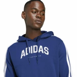 Codes Collegiate Graphic Herren Kapuzensweater