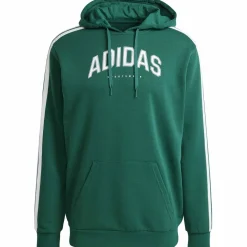 Codes Collegiate Graphic Herren Kapuzensweater