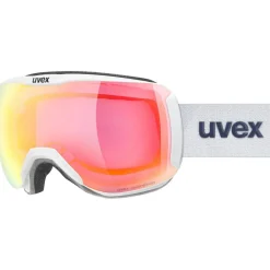 Downhill 2100 Unisex Skibrille
