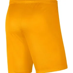 Dri-Fit Park 3 Kinder Teamhose