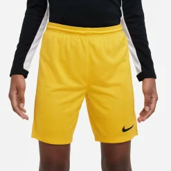 Dri-Fit Park 3 Kinder Teamhose