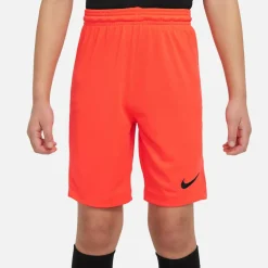 Dri-Fit Park 3 Kinder Teamhose