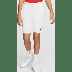 Dri-Fit Park 3 Kinder Teamhose