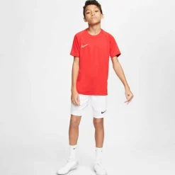 Dri-Fit Park 3 Kinder Teamhose