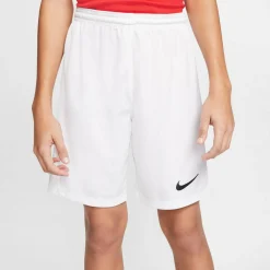 Dri-Fit Park 3 Kinder Teamhose