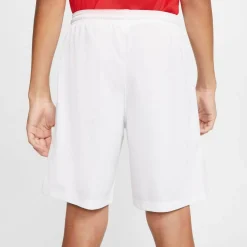 Dri-Fit Park 3 Kinder Teamhose