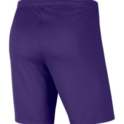 Dri-Fit Park 3 Kinder Teamhose