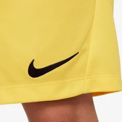 Dri-Fit Park 3 Kinder Teamhose