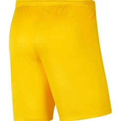 Dri-Fit Park 3 Kinder Teamhose