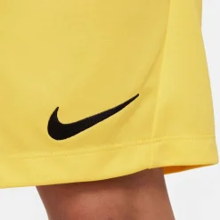 Dri-Fit Park 3 Kinder Teamhose