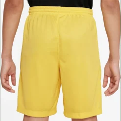 Dri-Fit Park 3 Kinder Teamhose