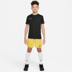 Dri-Fit Park 3 Kinder Teamhose