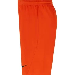 Dri-Fit Park 3 Kinder Teamhose