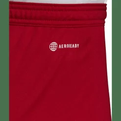 Entrada 22 Herren Shorts