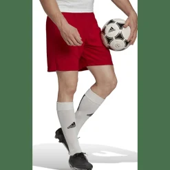 Entrada 22 Herren Shorts