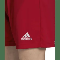 Entrada 22 Herren Shorts
