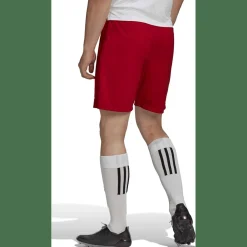 Entrada 22 Herren Shorts