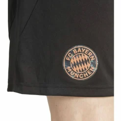 FC Bayern München 24/25 Auswärtsshorts Herren Teamhose