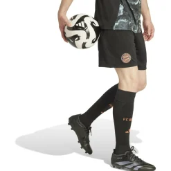 FC Bayern München 24/25 Auswärtsshorts Herren Teamhose