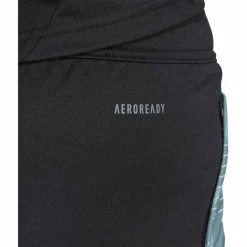 FC Bayern München Tiro 24 Trainingsshorts Herren Fußballhose