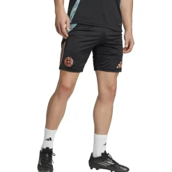 FC Bayern München Tiro 24 Trainingsshorts Herren Fußballhose