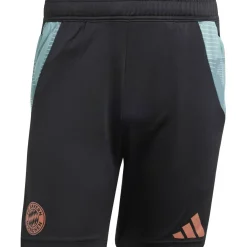 FC Bayern München Tiro 24 Trainingsshorts Herren Fußballhose