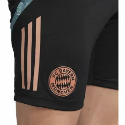 FC Bayern München Tiro 24 Trainingsshorts Herren Fußballhose