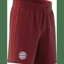 FC Bayern München DNA Herren Fußballhose