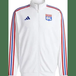 Olympique Lyon DNA Herren Sweatshirt