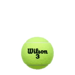 Roland-Garros Clay Court Dose mit 4 Bällen (18er-Pack) Unisex Tennisbälle