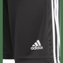 Squadra 21 Shorts Jungen Teamhose