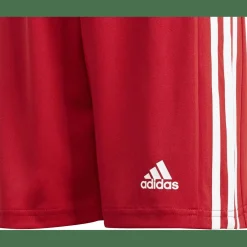 Squadra 21 Shorts Jungen Teamhose