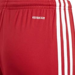 Squadra 21 Shorts Jungen Teamhose